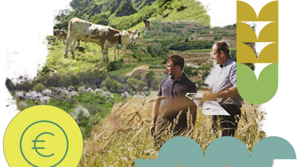 Collage zur Vielfältigkeit der Landwirtschaft