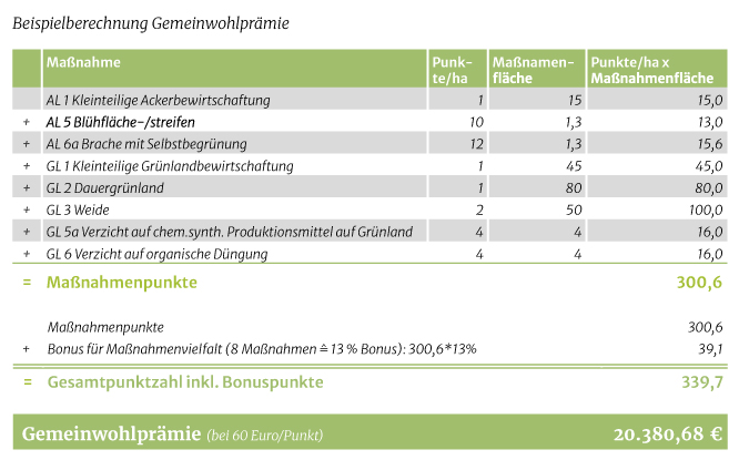 Die Grafik zeigt eine Beispielrechnung für die Gemeinwohlprämie
