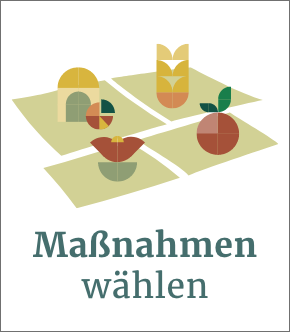 Illustration Maßnahmen wählen