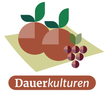 Illustration Dauerkulturen